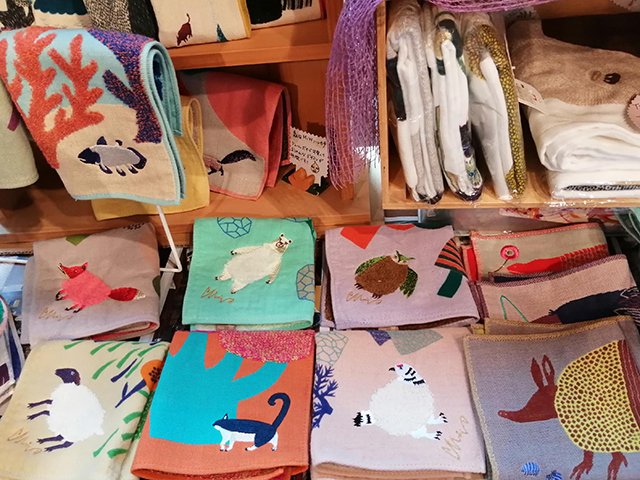 コーディネートの写真